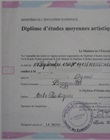 Diplôme certifié par l'Université ou l'école 